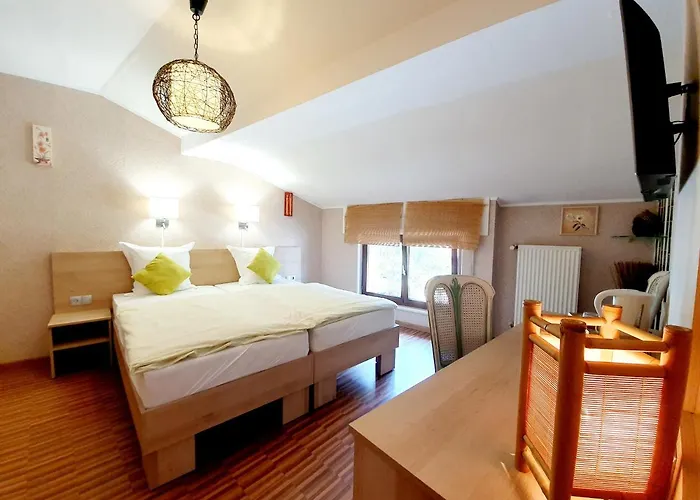 维登达尔酒店 *